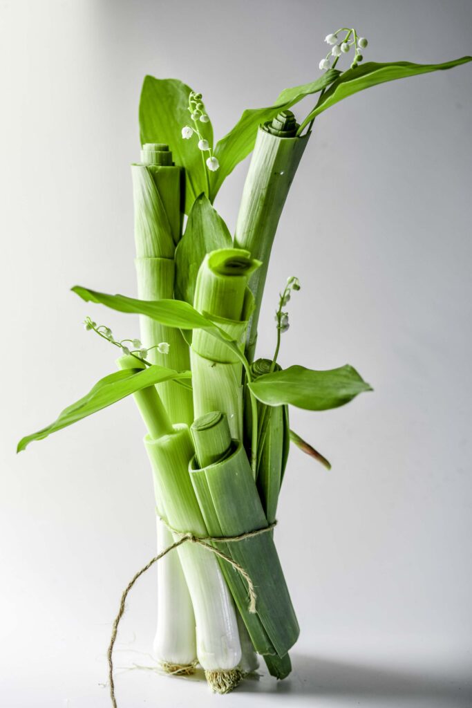 UGC food creator | autorka receptov | food fotografka pre food a lifestyle značky | Lydia Argilli
